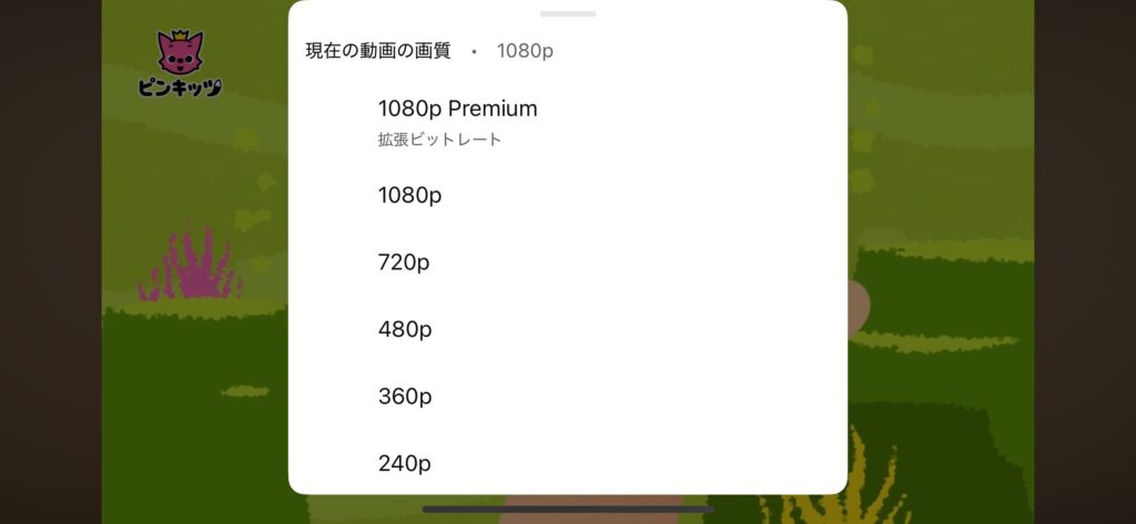 複数の解像度から選べるYouTubeの画質詳細設定メニュー画面のスクリーンショット画像